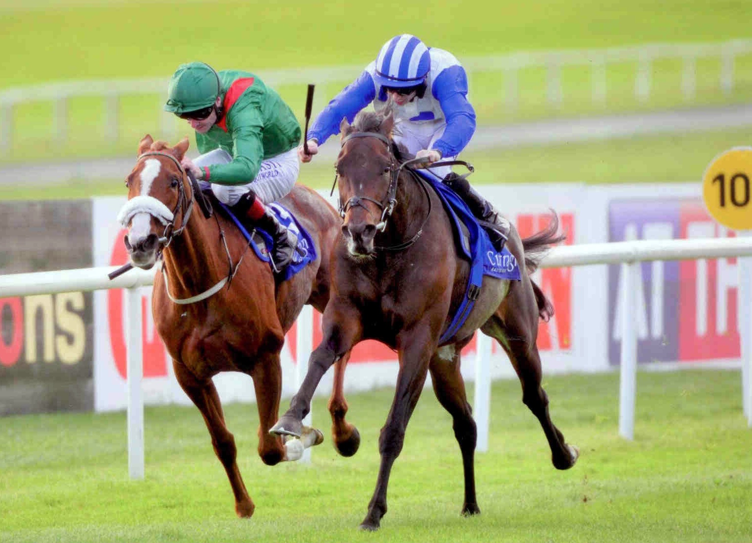 VAN SCHAICK battles back at the Curragh on October 13th 2015